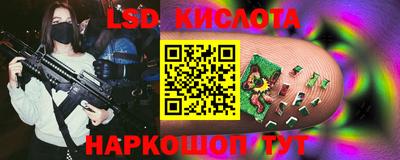 гидра Гатчина