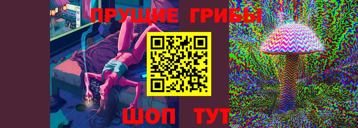Ковров  Псилоцибиновые грибы мицелий  что такое   Вход с VPN 