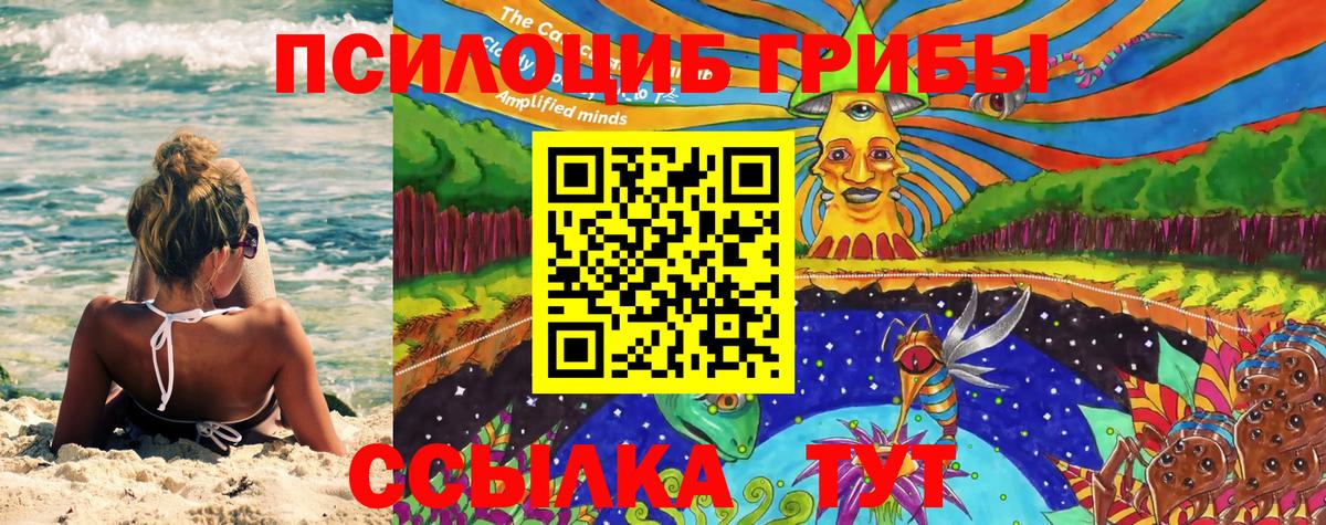 Псилоцибиновые грибы ЛСД Ковров
